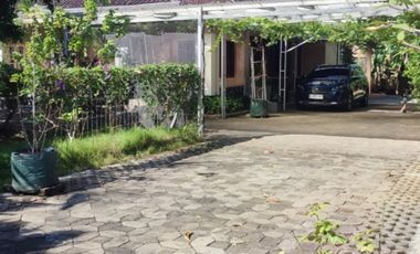 RUMAH KEBUN LUAS - SOLO