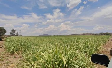 TERRENO IDEAL INVERSIONISTA  TALA LISTO PARA ESCRITURAR