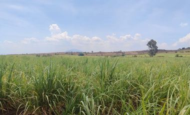 TERRENO IDEAL INVERSIONISTA  TALA LISTO PARA ESCRITURAR