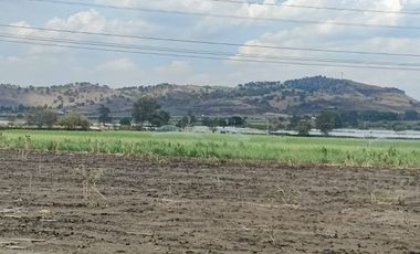 TERRENO IDEAL INVERSIONISTA  TALA LISTO PARA ESCRITURAR