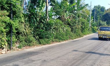 Tanah dijual murah pinggir jalan raya guci Tegal lokasi strategis