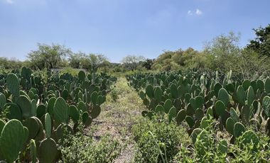 RANCHO EN VENTA , LOS SABINOS ALLENDE N.L