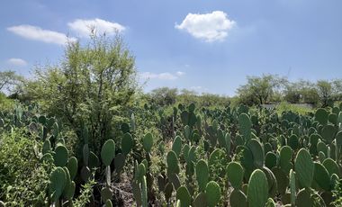 RANCHO EN VENTA , LOS SABINOS ALLENDE N.L