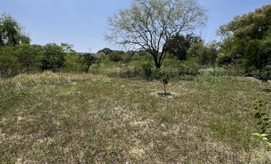 RANCHO EN VENTA , LOS SABINOS ALLENDE N.L