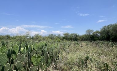 RANCHO EN VENTA , LOS SABINOS ALLENDE N.L