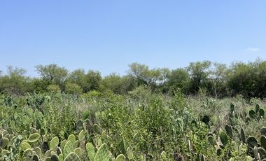 RANCHO EN VENTA , LOS SABINOS ALLENDE N.L