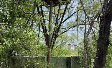 RANCHO EN VENTA , LOS SABINOS ALLENDE N.L