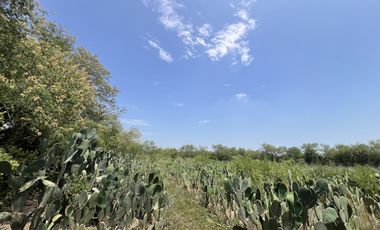 RANCHO EN VENTA , LOS SABINOS ALLENDE N.L