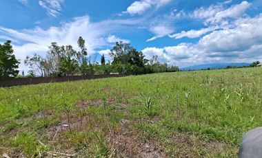 Rancho en Venta, Cuautla, 65,560 m2