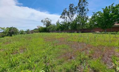 Rancho en Venta, Cuautla, 65,560 m2