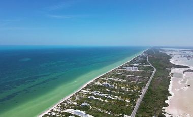 Terrenos en venta | PALMAREA SAN BENITO| ENTREGA INMEDIATA |