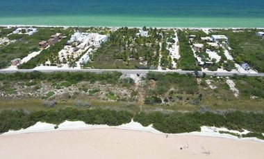 Terrenos en venta | PALMAREA SAN BENITO| ENTREGA INMEDIATA |