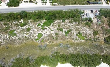 Terrenos en venta | PALMAREA SAN BENITO| ENTREGA INMEDIATA |