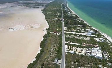 Terrenos en venta | PALMAREA SAN BENITO| ENTREGA INMEDIATA |