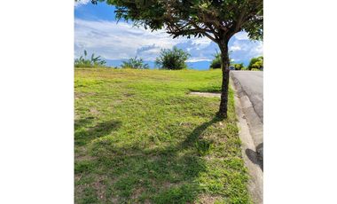 VENTA LOTE 10237 MTS2 VIA CERRITOS CARTAGO CERCA A PEREIRA