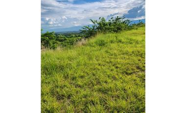 VENTA LOTE 10237 MTS2 VIA CERRITOS CARTAGO CERCA A PEREIRA