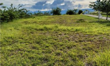 VENTA LOTE 10237 MTS2 VIA CERRITOS CARTAGO CERCA A PEREIRA