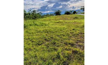 VENTA LOTE 10237 MTS2 VIA CERRITOS CARTAGO CERCA A PEREIRA