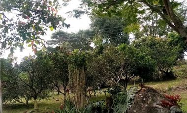 Vendo Finca Vereda San Roque en Arbeláez Cundinamarca