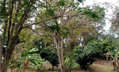 Vendo Finca Vereda San Roque en Arbeláez Cundinamarca