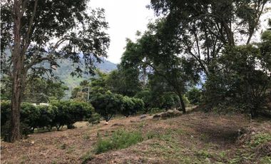 Vendo Finca Vereda San Roque en Arbeláez Cundinamarca