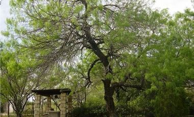RANCHO AGRICOLA EN VENTA RAMONES NUEVO LEON