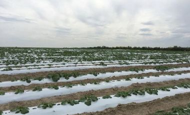 RANCHO AGRICOLA EN VENTA RAMONES NUEVO LEON