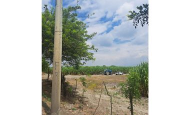 VENDE LOTE EN ROZO DE 32 HECTAREAS