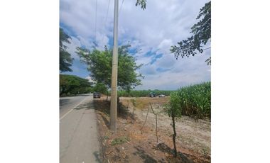 VENDE LOTE EN ROZO DE 32 HECTAREAS