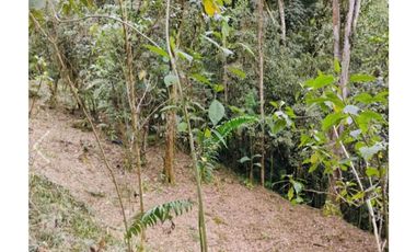 Venta de lotes campestre en unidad cerrada el retiro Antioquía