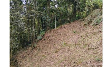 Venta de lotes campestre en unidad cerrada el retiro Antioquía