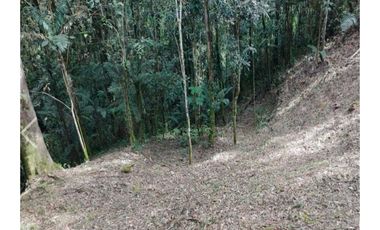 Venta de lotes campestre en unidad cerrada el retiro Antioquía