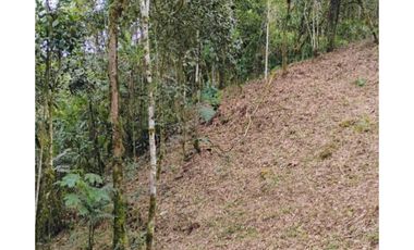 Venta de lotes campestre en unidad cerrada el retiro Antioquía
