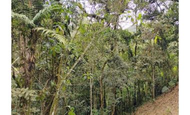 Venta de lotes campestre en unidad cerrada el retiro Antioquía