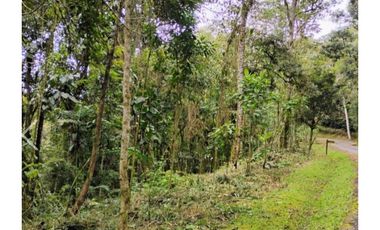 Venta de lotes campestre en unidad cerrada el retiro Antioquía