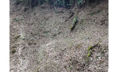 Venta de lotes campestre en unidad cerrada el retiro Antioquía