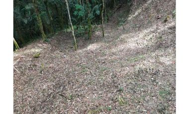 Venta de lotes campestre en unidad cerrada el retiro Antioquía