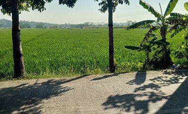 tanah sawah produktif jalan cor propinsi