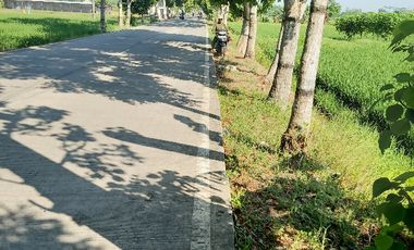 tanah sawah produktif jalan cor propinsi