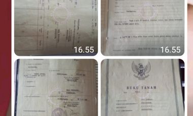 tanah sawah produktif jalan cor propinsi