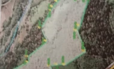 kebun durian luas murah jalan aspal