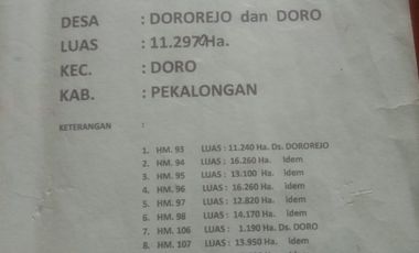 kebun durian luas murah jalan aspal