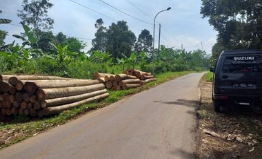 kebun durian luas murah jalan aspal