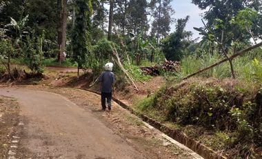 kebun durian luas murah jalan aspal