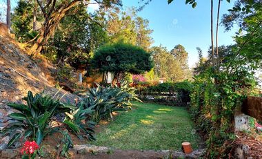 VENTA CASA EN COLONIA DEL BOSQUE - V354