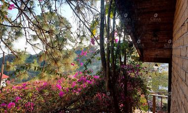 VENTA CASA EN COLONIA DEL BOSQUE - V354