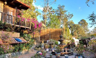 VENTA CASA EN COLONIA DEL BOSQUE - V354
