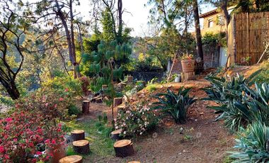 VENTA CASA EN COLONIA DEL BOSQUE - V354