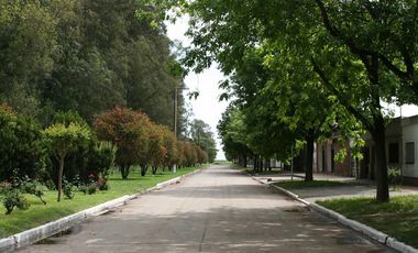 Terreno en Cepeda