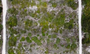 Macro lote en venta en segunda fila de la playa de Dzemul